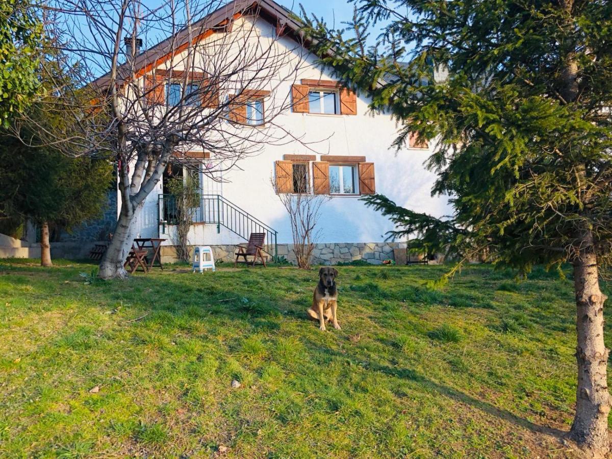 Casa Con Jardin, 4 Habitaciones Y Mucho Encanto En Cercedilla Zewnętrze zdjęcie